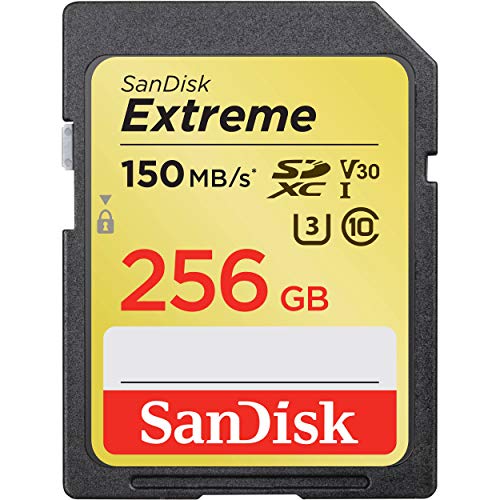 UPC 0619659170271 SanDisk 256GB Extreme UHS-I SDXC SDSDXV5-256G TV・オーディオ・カメラ 画像