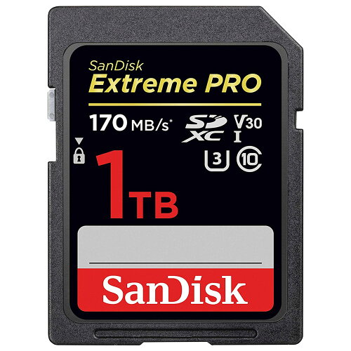 UPC 0619659176891 SDSDXXY-1T00-GN4IN SanDisk サンディスク SDXCメモリーカード 1.0TB UHS-I Extreme PRO TV・オーディオ・カメラ 画像