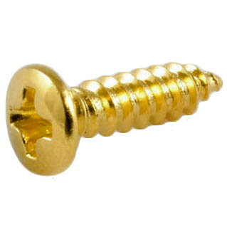 UPC 0645208008696 ALLPARTS Pack of 20 Gold Pickguard Screws 7505 楽器・音響機器 画像