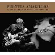 UPC 0656291221428 Pedro Aznar ペドロアスナ-ル / Puentes Amarillos: Aznar Celebra La Musica De Spinetta 輸入盤 CD・DVD 画像