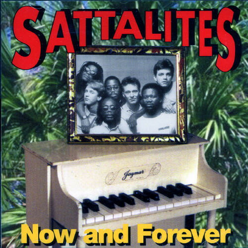 UPC 0696774101328 Now & Forever / The Sattalites CD・DVD 画像