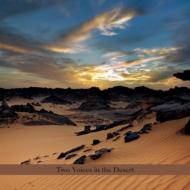 UPC 0702397814221 Perry Robinson / Burton Greene / Two Voices In The Desert 輸入盤 CD・DVD 画像