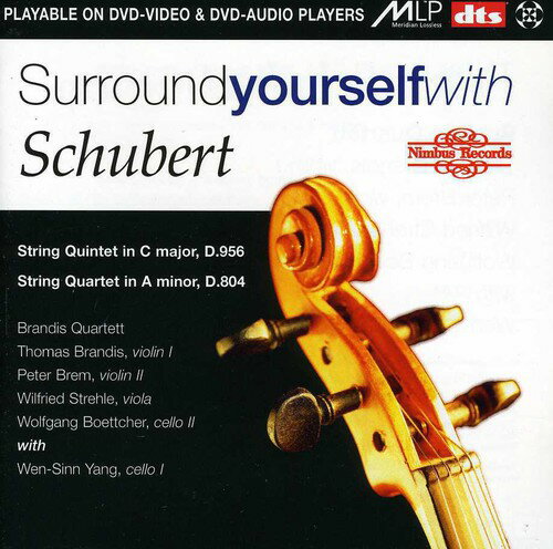 UPC 0710357900594 Surround Yourself With Schubert / Abel CD・DVD 画像