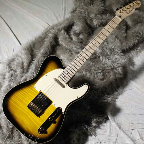 UPC 0717669224059 Fender フェンダー エレキギター Japan Exclusive Series Richie Kotzen Tele Brown Sunburst 楽器・音響機器 画像