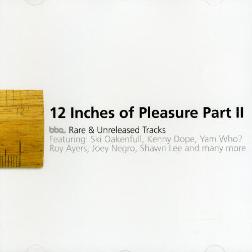 UPC 0730003107924 Twelve Inches of Pleasure 2 (Rmxs) / Various Artists CD・DVD 画像