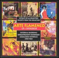 UPC 0794881453023 Arte Flamenco / Various Artists CD・DVD 画像