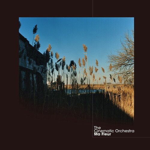 UPC 0801390015113 Ma Fleur (Analog) / Cinematic Orchestra CD・DVD 画像