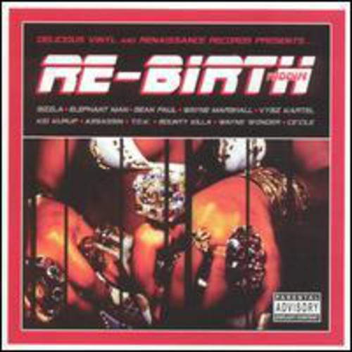 UPC 0829357901415 Re Birth Riddim (12 inch Analog) / Various Artists CD・DVD 画像