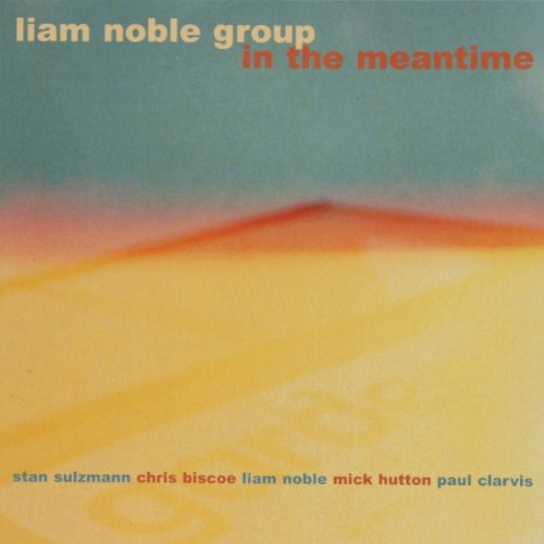 UPC 0832929000423 In the Meantime LiamNoble CD・DVD 画像