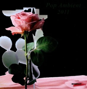 UPC 0880319049910 VARIOUS ヴァリアス POP AMBIENT 2011 CD CD・DVD 画像